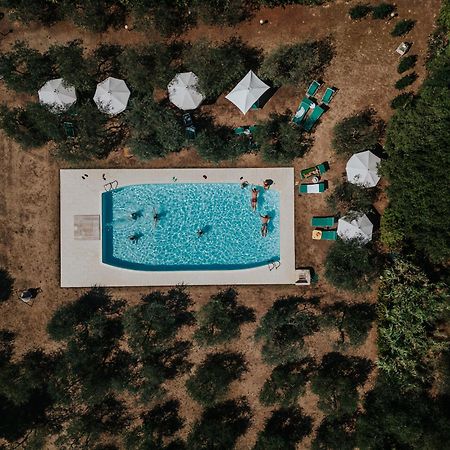 Podere San Giorgio Palaia Zewnętrze zdjęcie