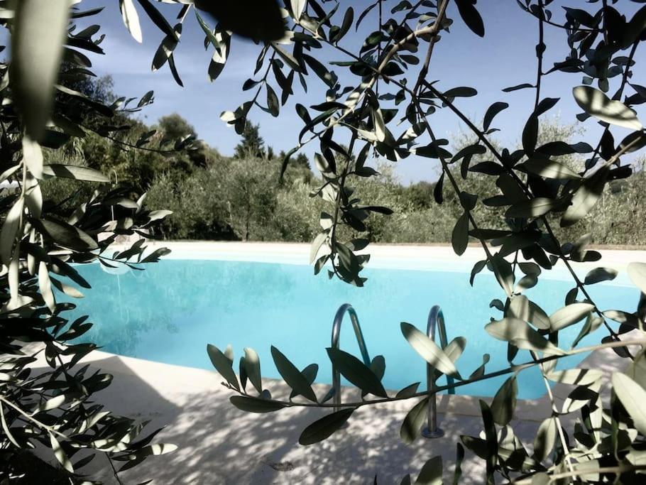 Podere San Giorgio Palaia Zewnętrze zdjęcie