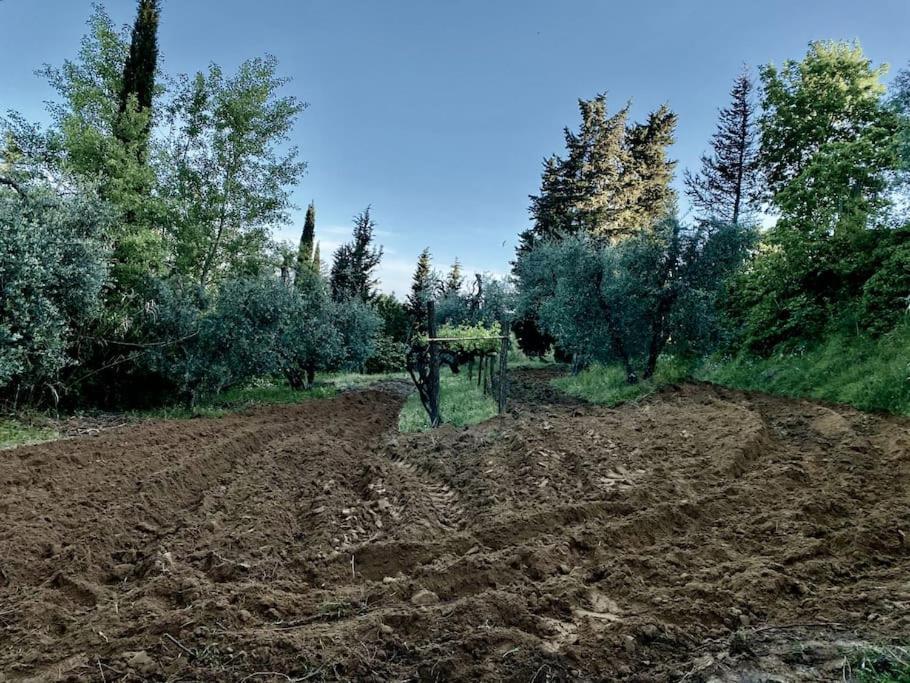 Podere San Giorgio Palaia Zewnętrze zdjęcie