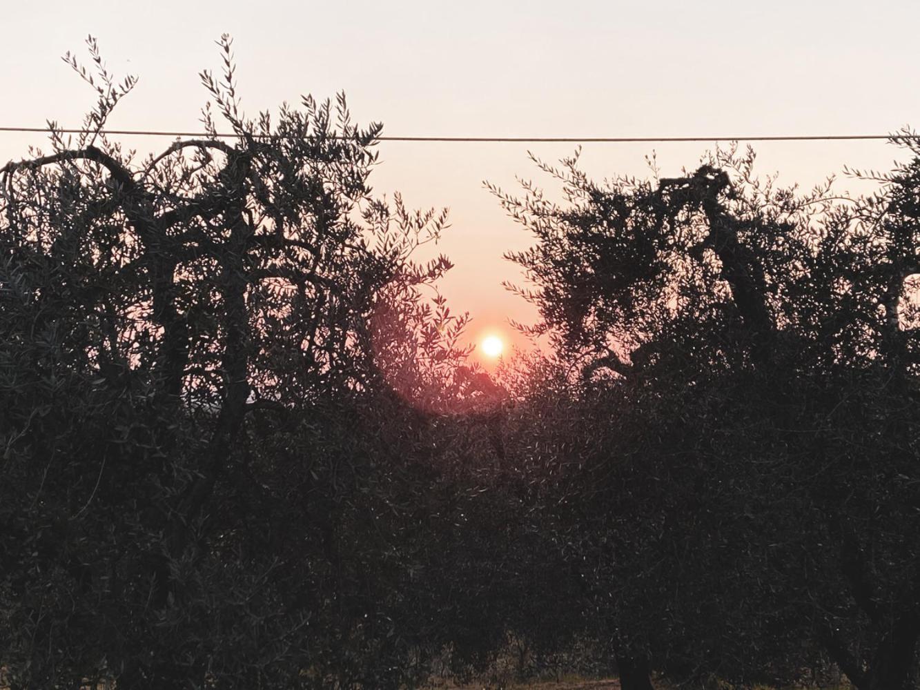 Podere San Giorgio Palaia Zewnętrze zdjęcie